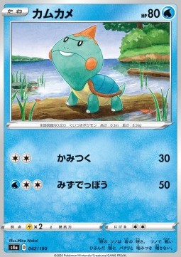 Chewtle - Shiny Star V #42