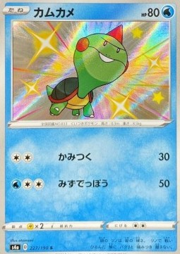 Chewtle - Shiny Star V #227