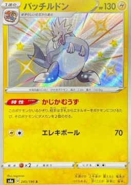Arctozolt - Shiny Star V #245