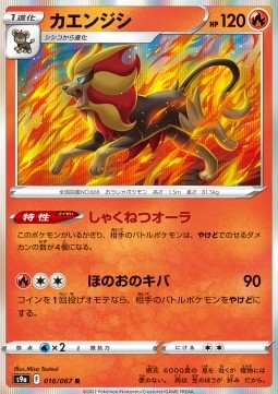 Pyroar - Battle Region #16
