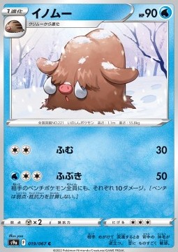 Piloswine - Battle Region #19