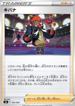 Raihan Premium Trainer Box VSTAR #022