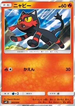 Litten Pikachu's New Friends #