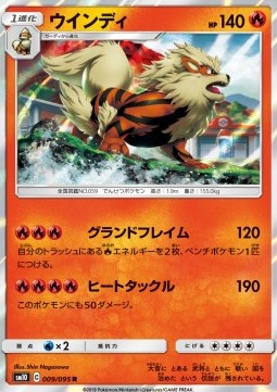 Arcanine - Double Blaze #9