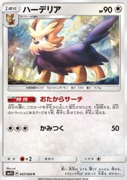 Herdier - Collection Sun #47