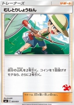 Bug Catcher Sun & Moon Family Pokémon Card Game #