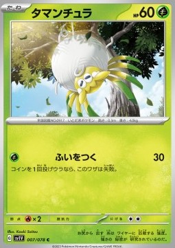 Tarountula - Violet ex #007