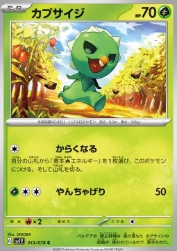 Capsakid - Violet ex #013