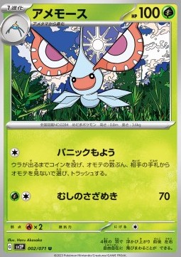 Masquerain - Snow Hazard #2