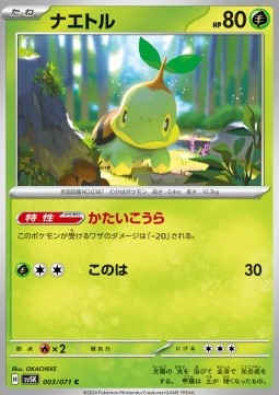 Turtwig - Wild Force #3