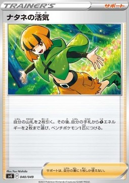 Gardenia's Vigor Venusaur &amp; Charizard &amp; Blastoise Special Deck Set ex #040