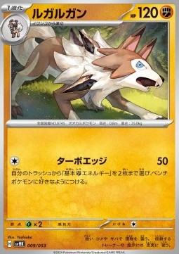 Lycanroc - Starter Deck & Build Set Ancient Koraidon ex #009