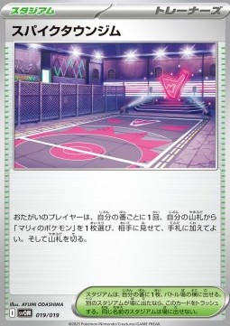 Spikemuth Gym Starter Set ex Marnie's Morpeko & Grimmsnarl ex #019