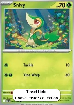 Snivy Black Bolt: Additionals #001